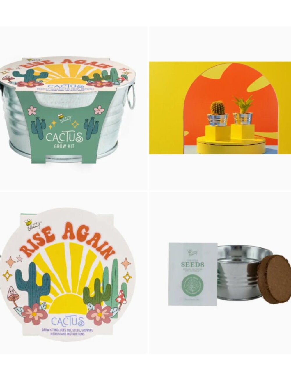 Cactus Grow Kit Gift!